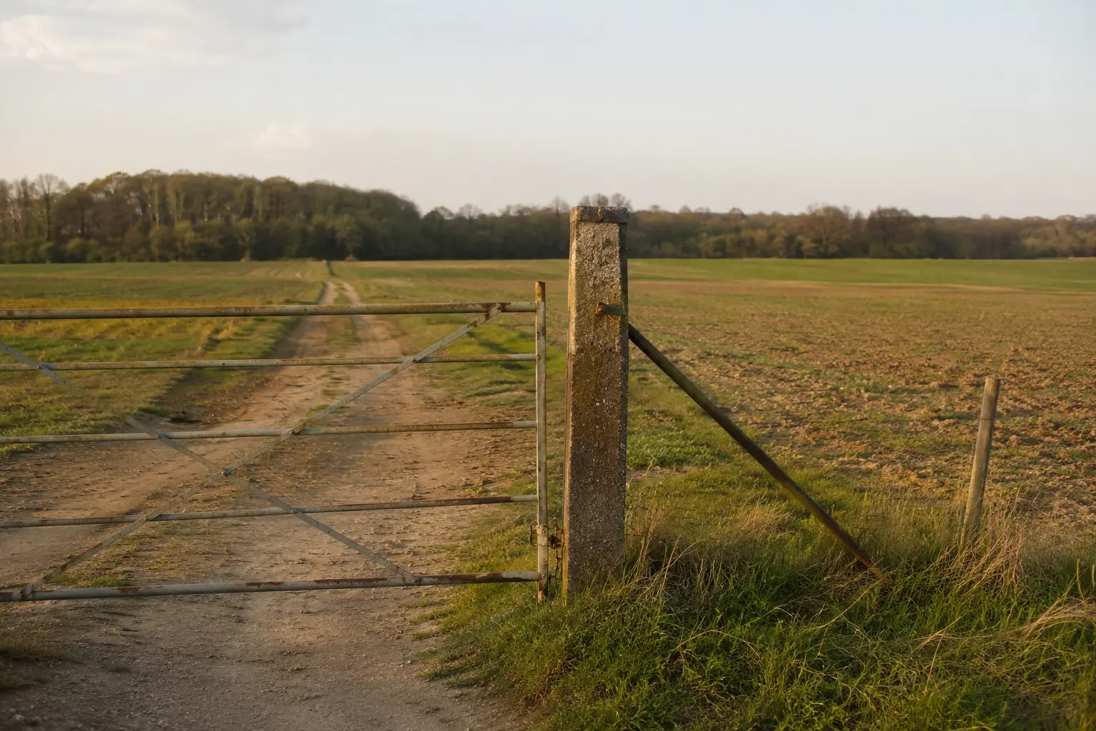 Clôture et portail d'accès sur terrain agricole privé — sécurisation contre les intrusions illégales